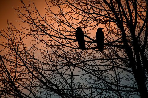 When the evening falls