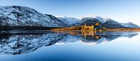 Kilchurn Castle, Scotland by Ton Drijfhamer thumbnail