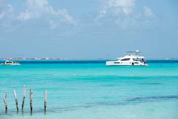 hunting in the tropical sea