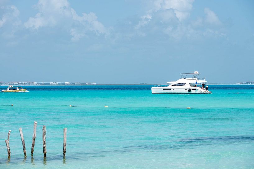 chasse dans la mer tropicale par Kris Ronsyn
