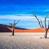 Dead Vlei sur Thomas Froemmel