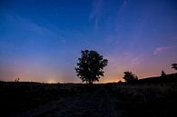 Night in wellerlooi by Mark Lenoire thumbnail