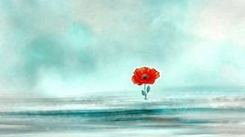 Roter Mohn über dem Meer von Frank Heinz