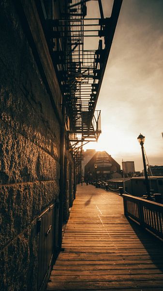 Boston by Hello Pompoyo