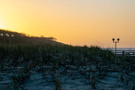 Plage (coucher de soleil) sur David Krause