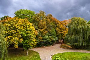 Blick auf herbstlich gefärbte Bäume in Rostock