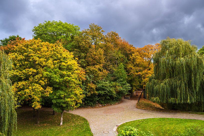 Zicht op herfstkleurige bomen in Rostock van Rico Ködder