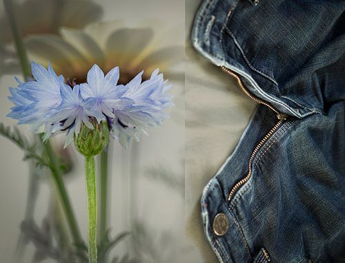 Say it with flowers by Peter Smeekens