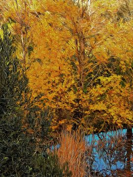 December By The Pond Umbria