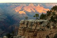 Grand Canyon Nationalpark von Wim Slootweg Miniaturansicht
