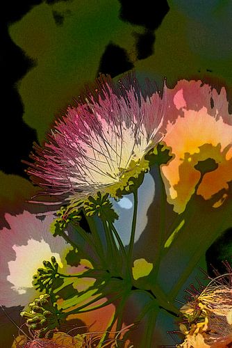 Fleur d'arbre en soie de Perse. 3