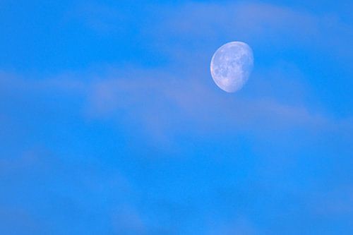 Tussen twee werelden