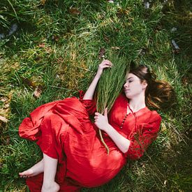 Fairy tale in red by Mirella Lukens