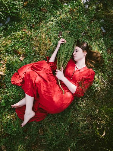 Sprookje in het rood