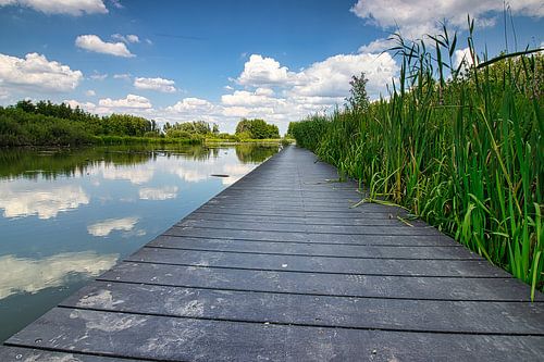 chemin de terrasse de l'autre côté
