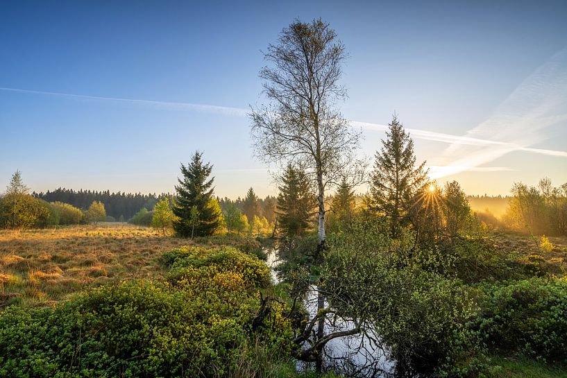 Brackvenn, Hohes Venn, Belgien von Alexander Ludwig