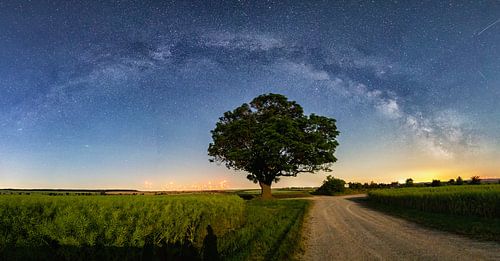 Magische boom onder de Melkweg