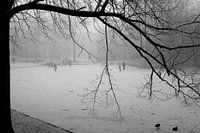 Noorderplantsoen in de Winter 12