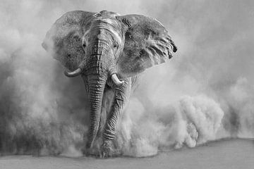 Sandsturm-BW von Marcel Egger