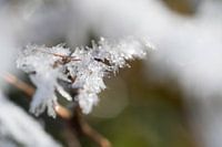 it whas cold outsite