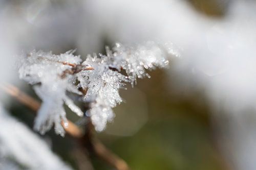 it whas cold outsite