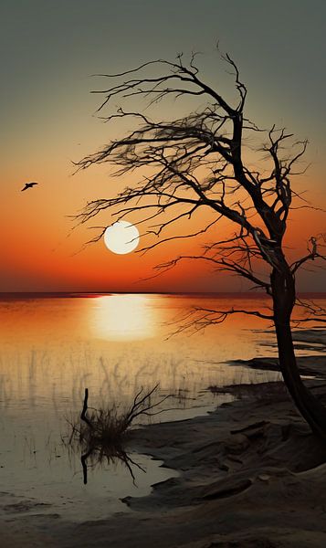 Am Meer von fernlichtsicht