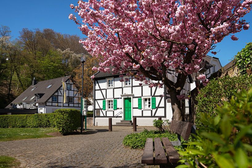 Odenthal, Bergisches Land, Germany by Alexander Ludwig