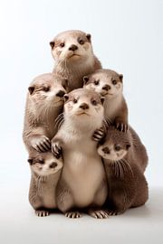 Otterly Adorable by Harry Hadders Design