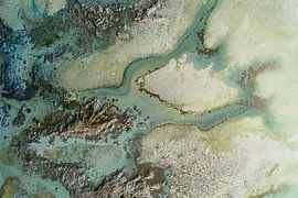 Evergreen by Petra Meikle de Vlas