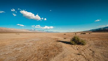 Death Valley landschap von Andy Troy