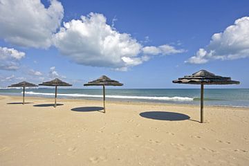 Solar umbrellas on the beach of Aruba by Eye on You