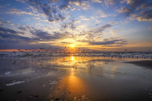 Le soleil, les nuages et la mer