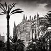 Schwarzweiss-Fotografie: Palma de Mallorca von Alexander Voss