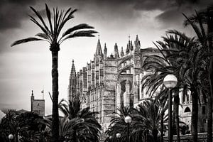 Photographie en noir et blanc : Palma de Majorque