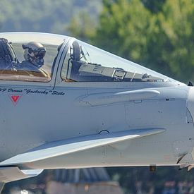 Pilot in cockpit in German Eurofighter Typhoon. by Jaap van den Berg