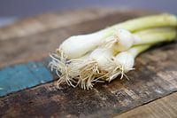Close up of spring onions