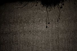 Wand von Niels Knelis Meijer