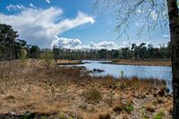 Prachtige foto van het natuur ven op de Looierheide