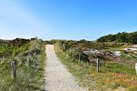 Path through the dunes of Sankt Peter Ording