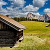 Alpe di Siusi van Dirk Rüter