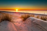 Landschap kust