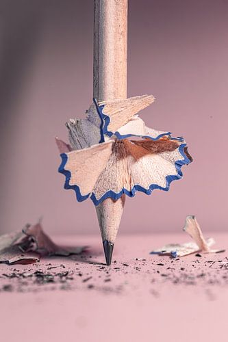 Ballerine sur Jenny Kambeck