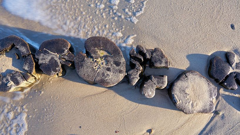 Breakwater on the beach of the Baltic Sea near Rewal by Heiko Kueverling