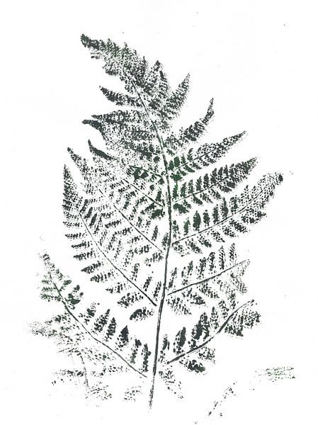 Painting of ferns by @Unique