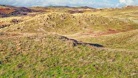 Dunes du nord près de Den Helder