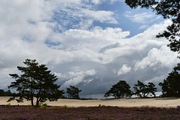 Nuages menaçants au-dessus du Sahara, Ommen sur Bernard van Zwol