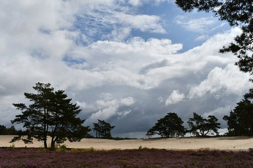 Dreigende wolken boven de Sahara, Ommen