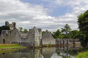 Das Desmond Castle liegt am Rande des Dorfes Adare