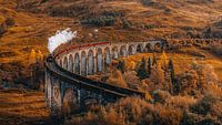 Harry Potter trein