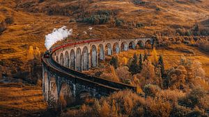 Train Harry Potter
